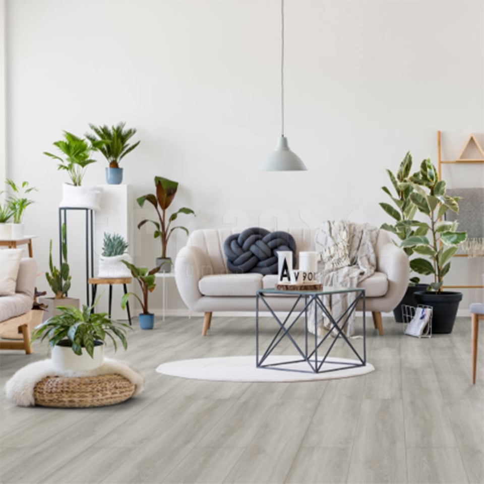 ლამინატი COLLOSEUM PLUS 240x1290x8mm CL1001 MILANO