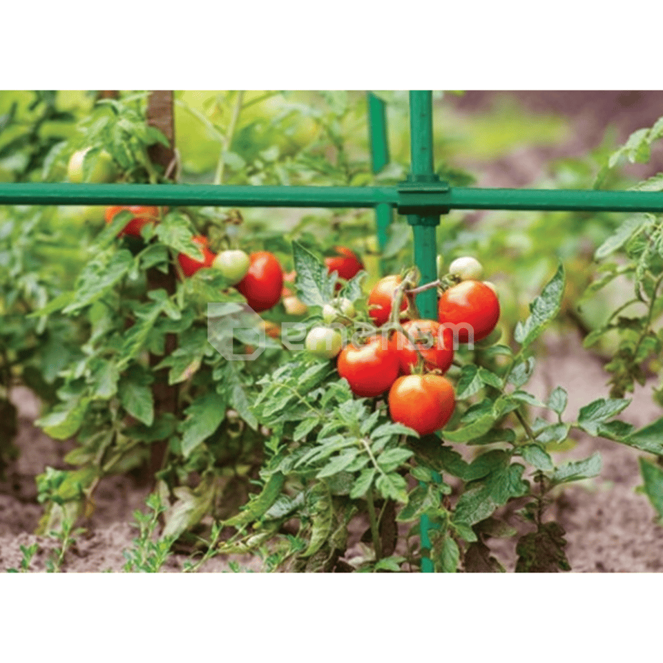 მცენარის საყრდენის შემაერთებელი Bradas 16მმ 10 ც