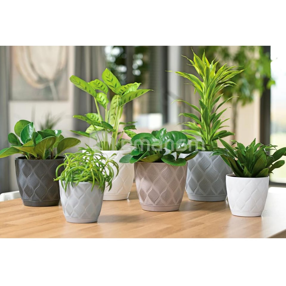 ქოთანი ყვავილის FORM-PLASTIC flow petit eco recycled z podstawka 13 white