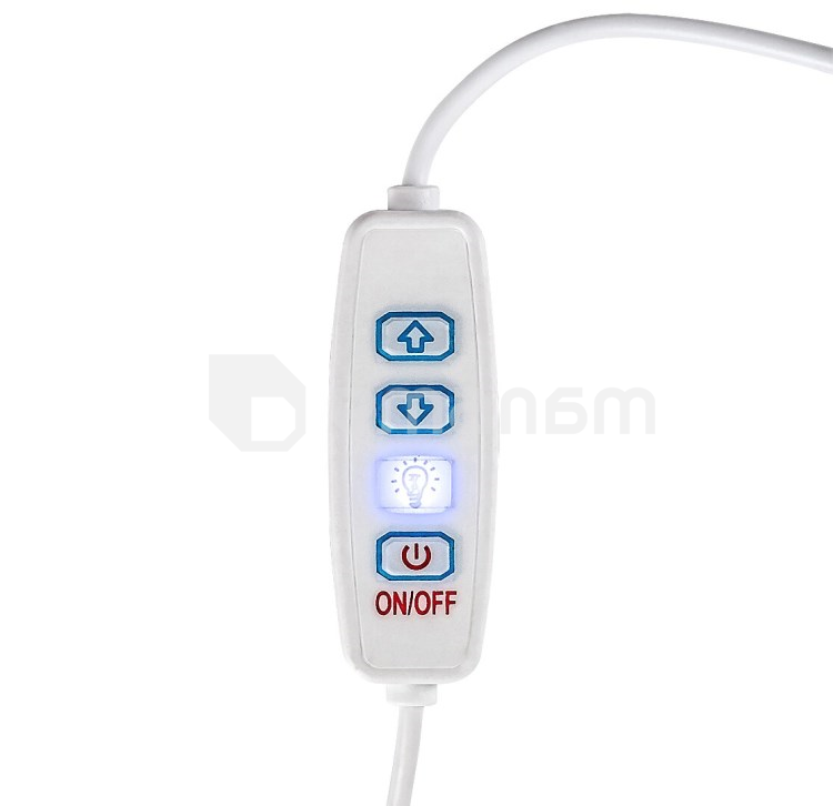 მაგიდის სანათი Rabalux Pirit 1.2W 3000K ხე თეთრი 76003