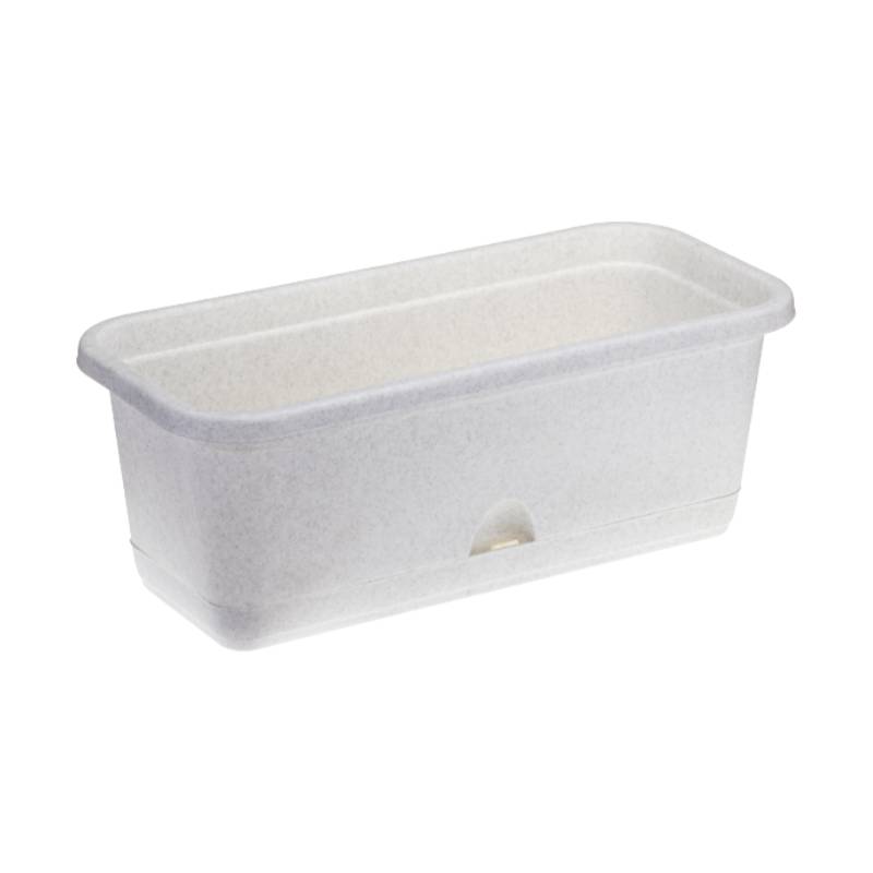 ყვავილის ქოთანი თეფშით