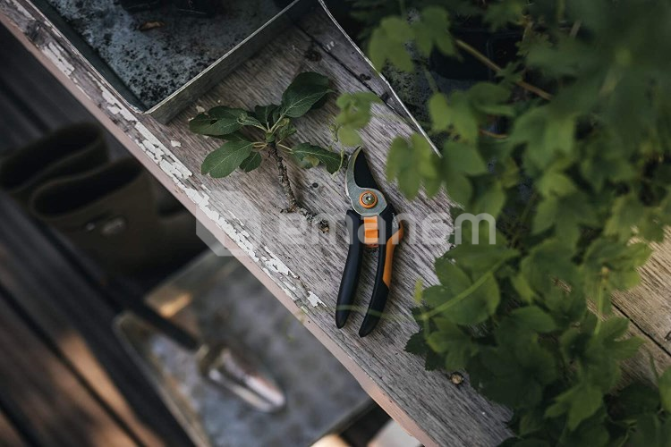 სეკატორი Fiskars Solid P321