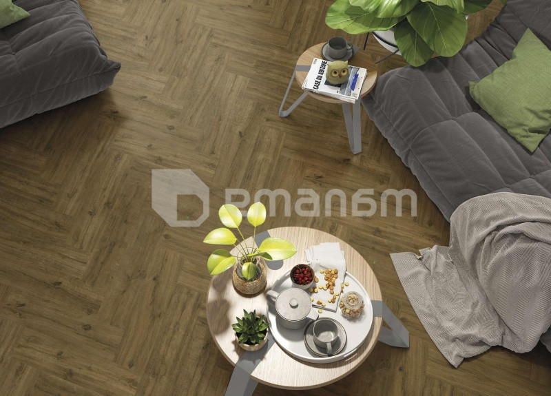 კერამოგრანიტი Emotion Ceramics P Wild Caoba PRI 15,3X58,9სმ