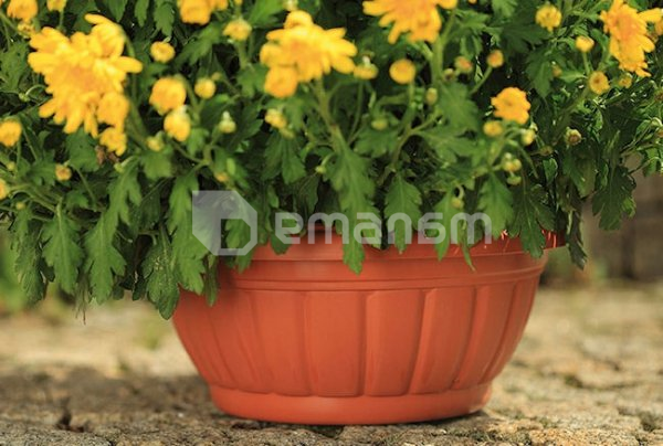 პლასტმასის ქოთანი FORM PLASTIC Elba Misa VERONA 0413-010 Ø38 ტერაკოტა