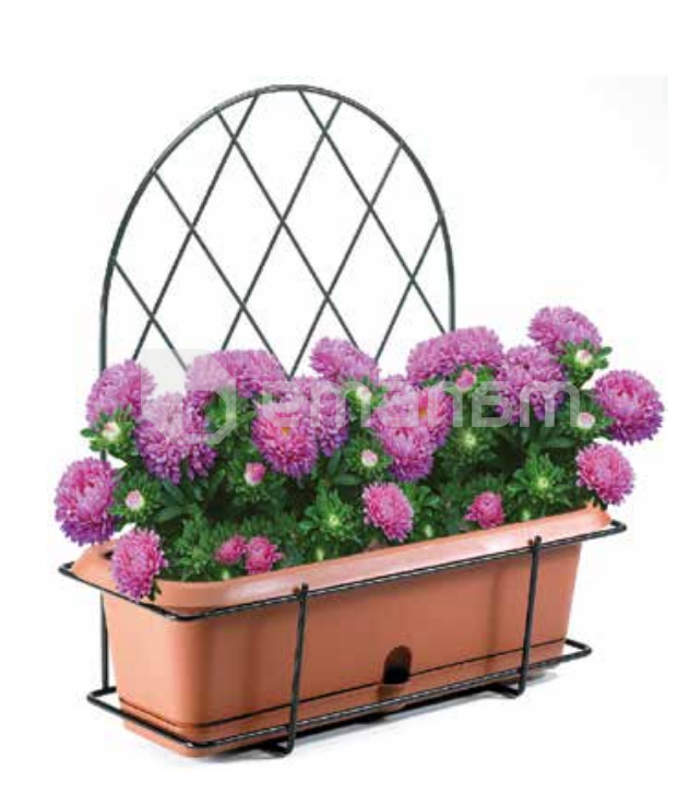 ყვავილების საკიდი Metallurgica Buzzi Antonella for Wall with self-watering box 50x20xh50 სმ