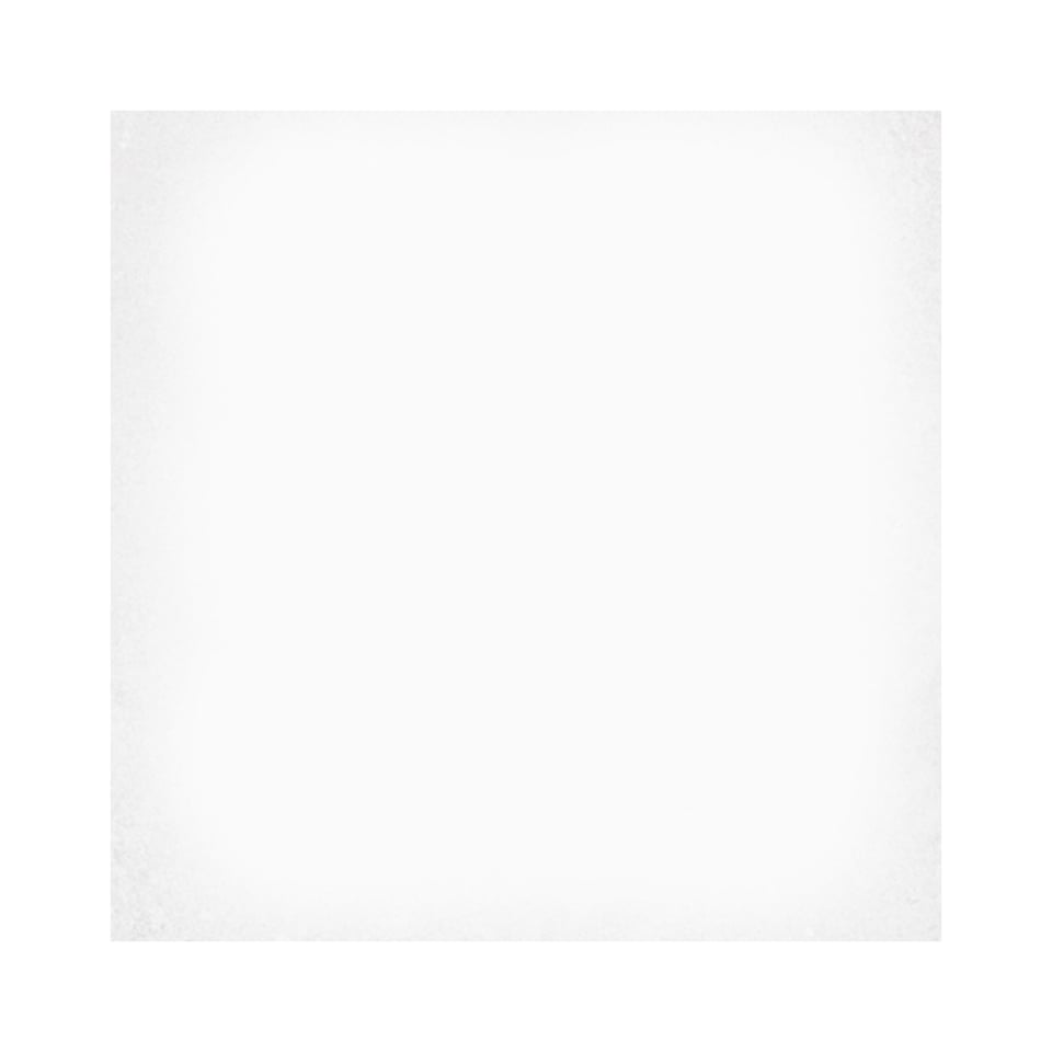 მეტლახი 1900 Blanco Sec. 20x20