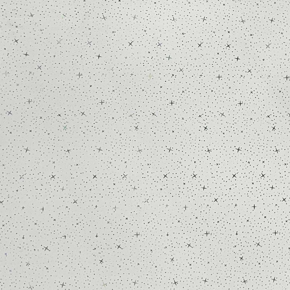 შეკიდული ჭერი EuroPlast 250*3000*7mm HC263