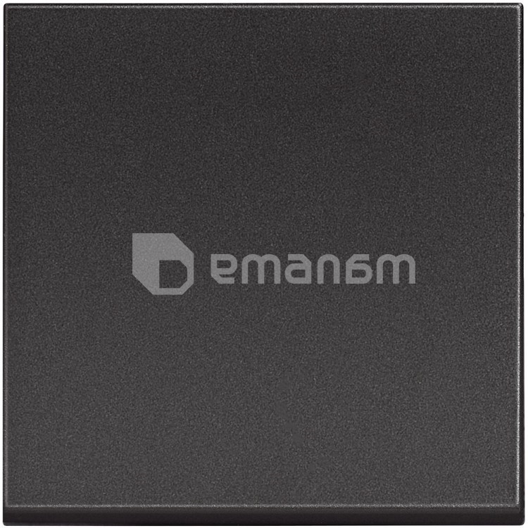 ჩამრთველი გამავალი ჩარჩოს გარეშე Bticino 2 მოდულით შავი