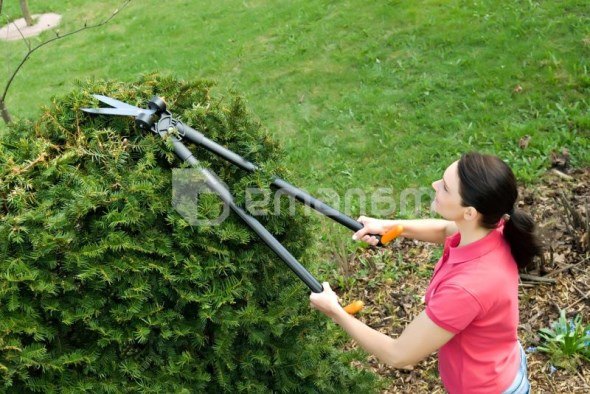 მაკრატელი ბაღის Fiskars PowerLever GS53 (113710)