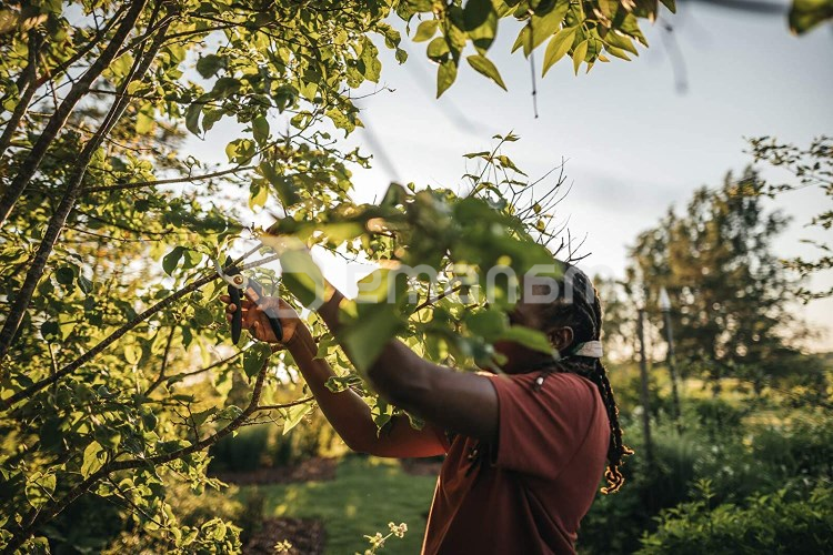 სეკატორი Fiskars Solid P321