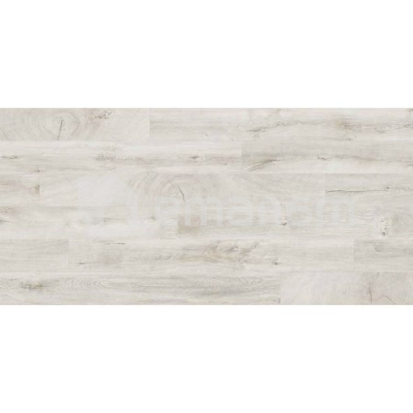 ლამინატი Kaindl ET HG მუხა Fresco Snow 1383x159x8 AC4/32