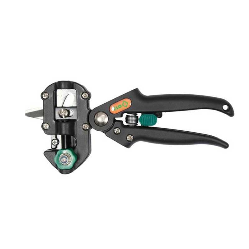 სეკატორი სამყნობი