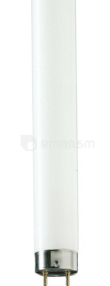 ლუმინესცენტური ნათურა Philips TL-D 36W/54-765 1SL/25 6200K 36W G13