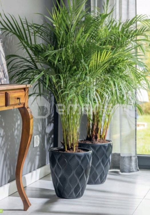 ქოთანი ყვავავილის FORM PLASTIC Flow 30 ატარციტი 4700-014