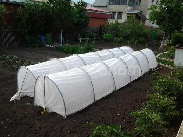 აგრობოჭკო თეთრი 17გრ./მ.2 1,6x10 მ სბქ+