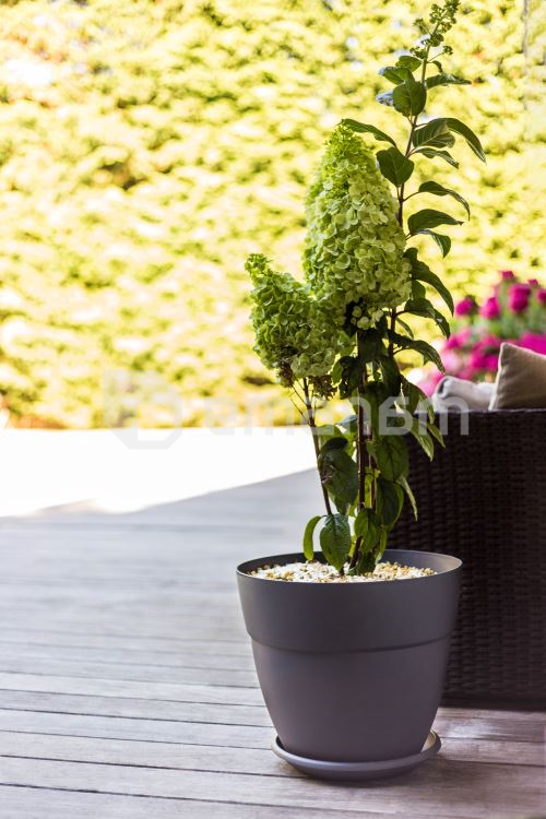 ქოთანი პლასტმასის EDA Plastiques POT CANCUN 39,5 X 34,2სმ 28,3ლ