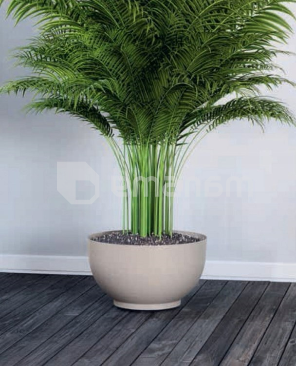 ქოთანი ყვავავილის FORM PLASTIC Bowl Satina Eco 30 ნატურალური ხე 4386-078