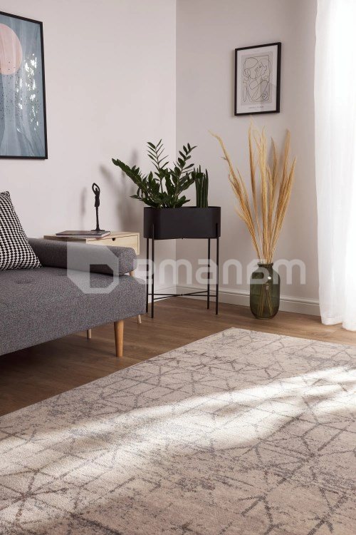 ხალიჩა Moldabela MOON ORO SILVER 7259 200x300 100% WOOL