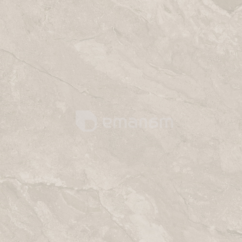 კერამოგრანიტი Emotion Ceramics P Callas Grey Mat 9,5 R PRI 60X60სმ
