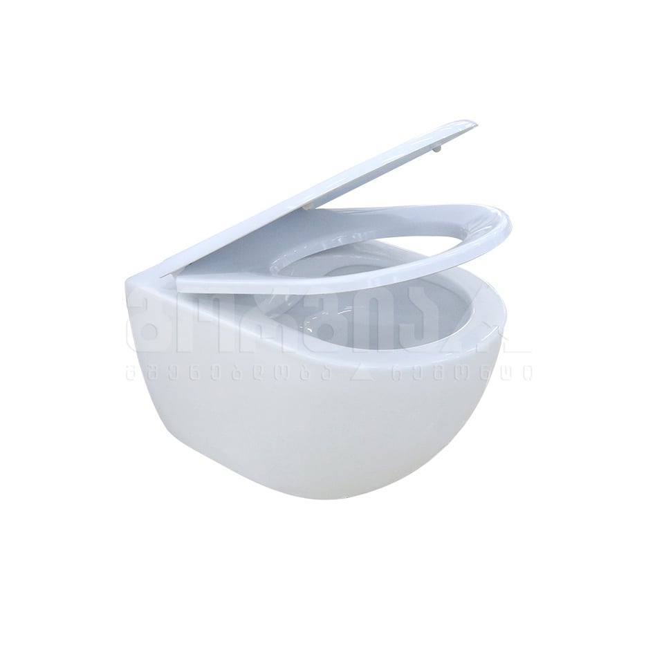 შეკიდული უნიტაზი FE322 Rim-off