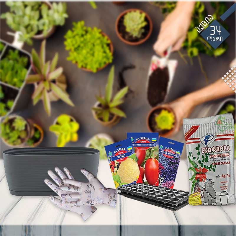 მცენარეების მოვლის საშუალებების ნაკრები