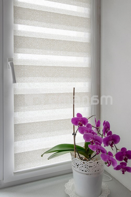 შტორი Delfa SRSH-01MК-44015 73/160