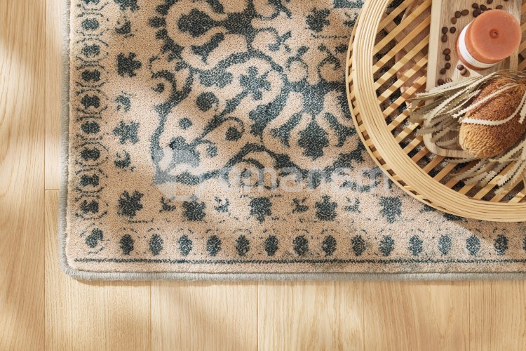 ხალიჩა Dywilan OMEGA PERONA IRON 2504 cC1 170x235 100% WOOL