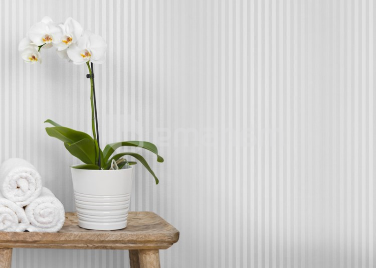 პანელი PVC VOX Profile Vilo D Silver Lines 25х265 сm