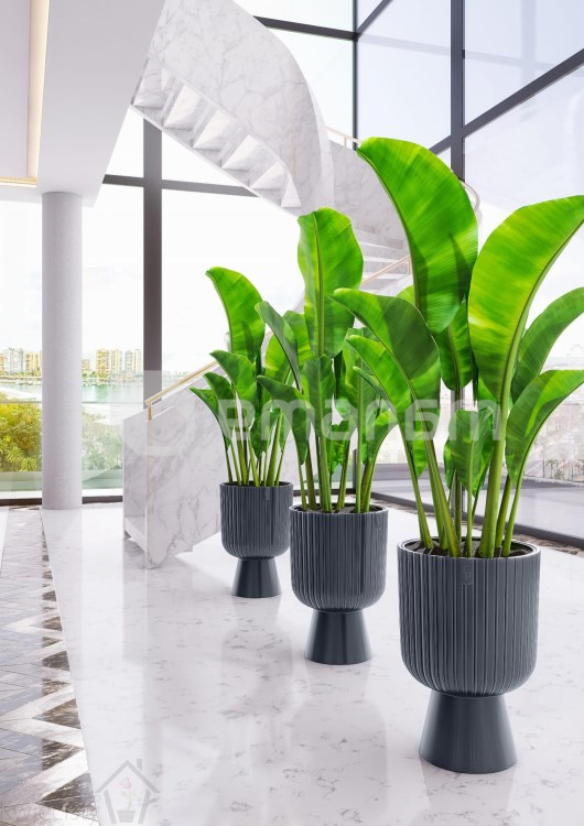 საყვავილე ქოთანი FORM PLASTIC Keli Mika 30 ანტრაციტი