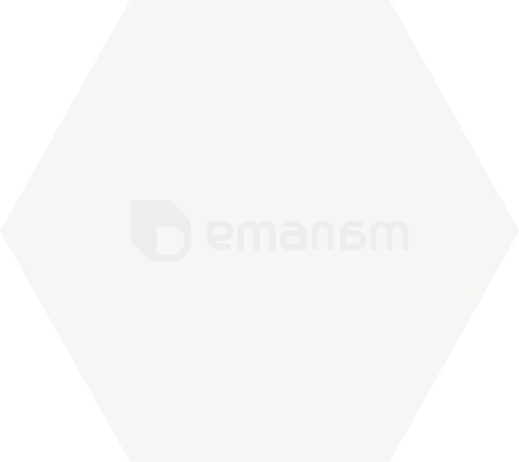 კერამოგრანიტი Geotiles Hexa Solid White 258x290 მმ