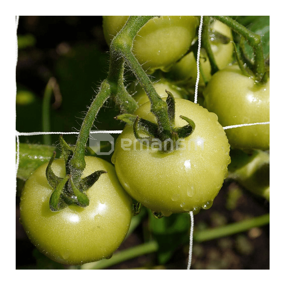 გასაბმელი ბადე GrowGrow