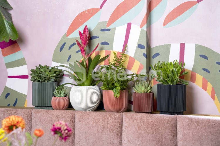 ქოთანი ყვავილის Capi Europe Vase Groove 18x15სმ წითელი