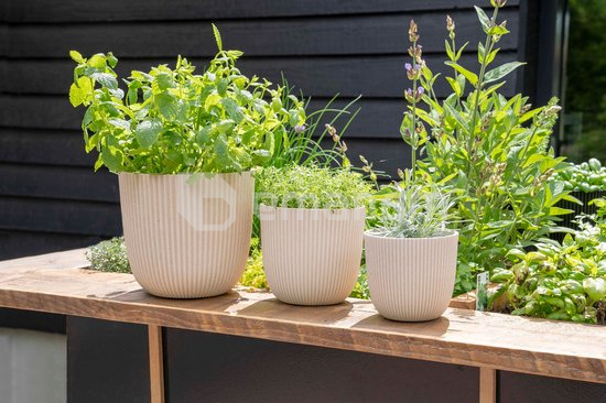 ქოთანი ყვავილის Capi Europe Planter Ball Groove sawdust 21,5x20სმ