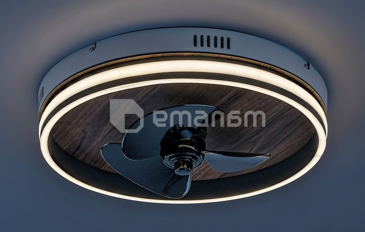 ჭაღი ვენტილატორი Rabalux Faustine 30W 3000 6500K Ø470 H130მმ შავი თეთრი 71016
