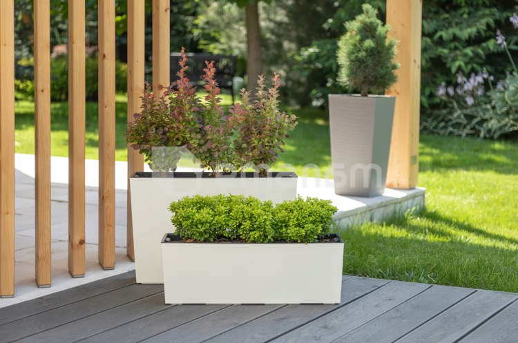 ქოთანი ყვავილის Lamela BEGONIA 19x56სმ 12ლ თეთრი