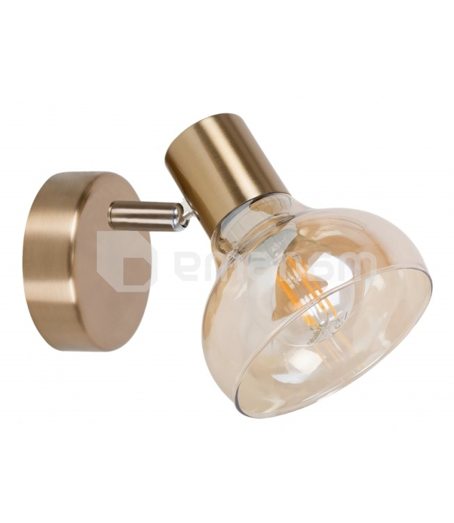 სანათი სპოტი Rabalux Holly 5546 1х 40W Е14