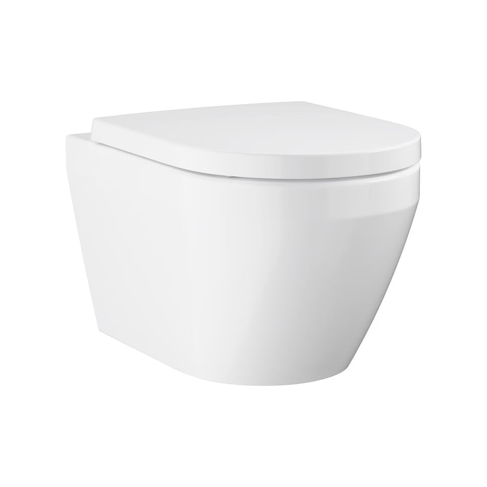 დასაკიდი უნიტაზი GROHE Euro Ceramic 102510SH00 ალპინ-თეთრი