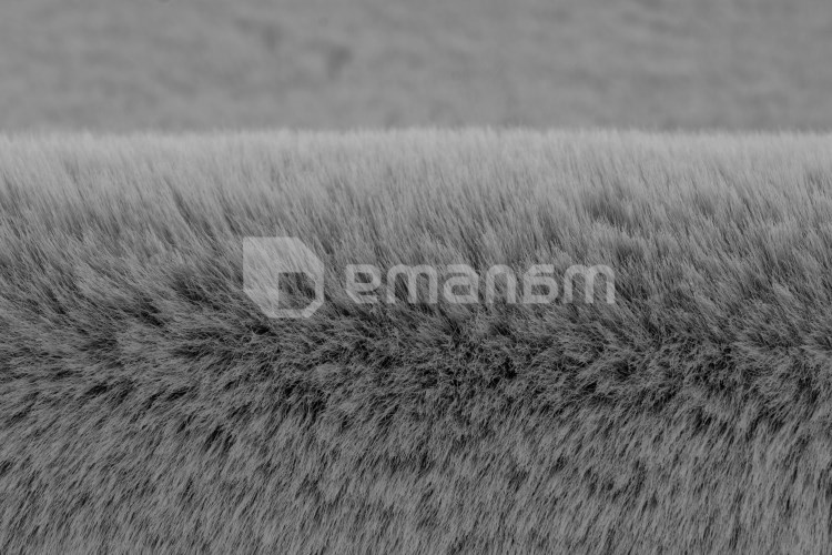 ხალიჩა DCcarpets Heaven 90770 Graphite 80x150 სმ