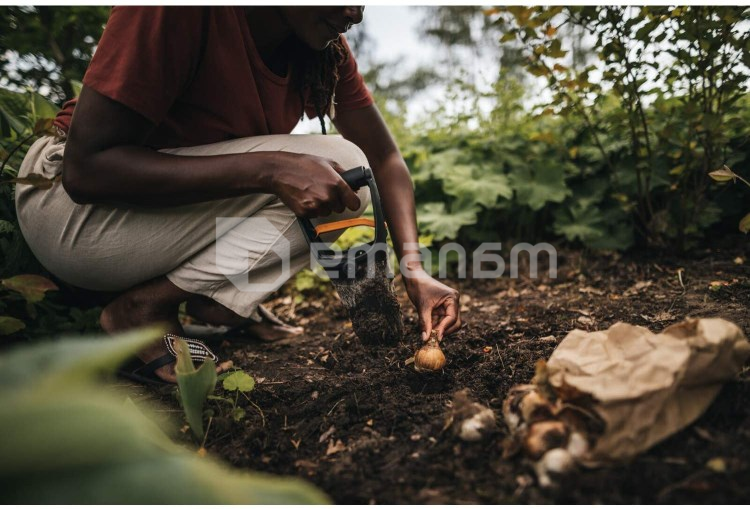 ბოლქვის სარგავი ხელსაწყო Fiskars Solid 1057079