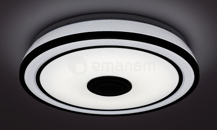 ჭერის სანათი Rabalux Nikolaus 24W 3000 6500K Ø395 H90მმ შავი თეთრი 71030