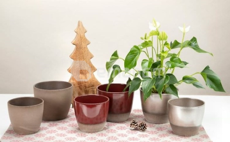 ქოთანი ყვავილის კერამიკული Scheurich 920/16 Scarlet 16x14 სმ