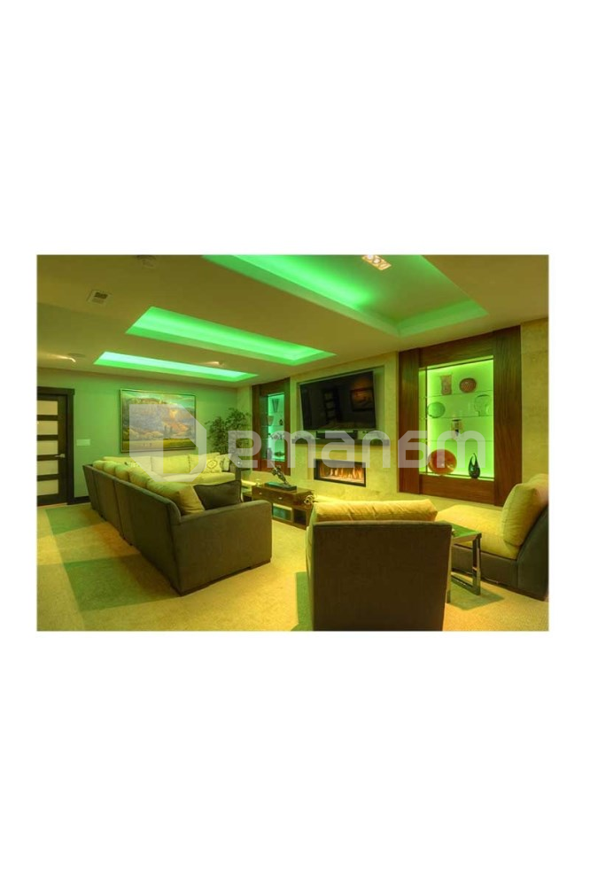 ლენტი LED ACK 7W 12V 5მ 6500К 4040 Double IP20 მწვანე
