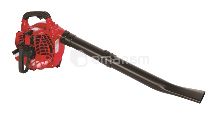 მტვერსასრუტი ბაღის ბენზინის Raider RD-GBV05 750W (077401)