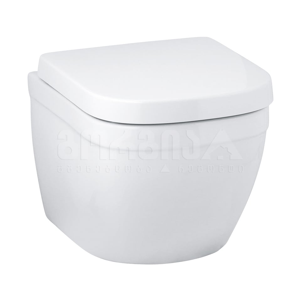 შეკიდული უნიტაზი 39206000 Euro Ceramic rimless