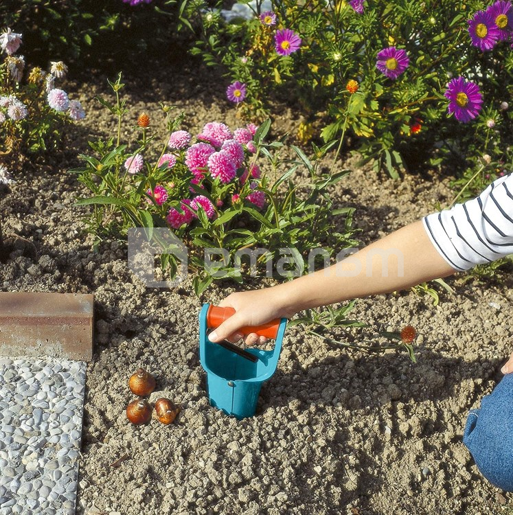 სარგავი ბოლქვოვანების Gardena 3412-20