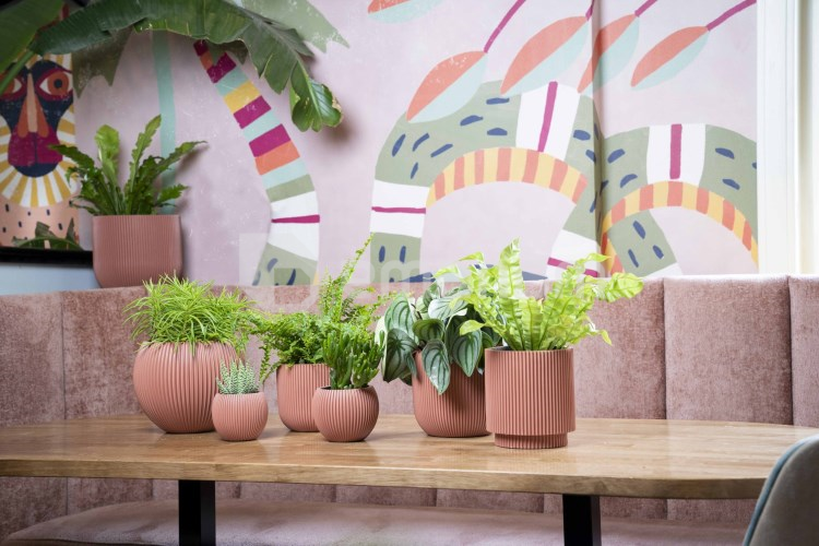 ქოთანი ყვავილის Capi Europe Vase Groove 18x15სმ წითელი