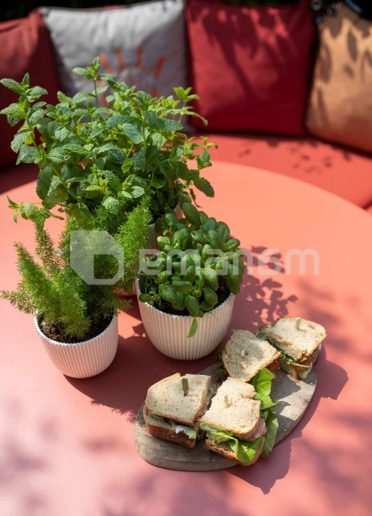 ქოთანი ყვავილის Capi Europe Planter Ball Groove sawdust 21,5x20სმ