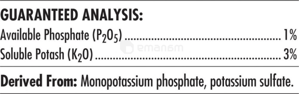 სასუქი Advanced Nutrients Big Bud 250 მლ