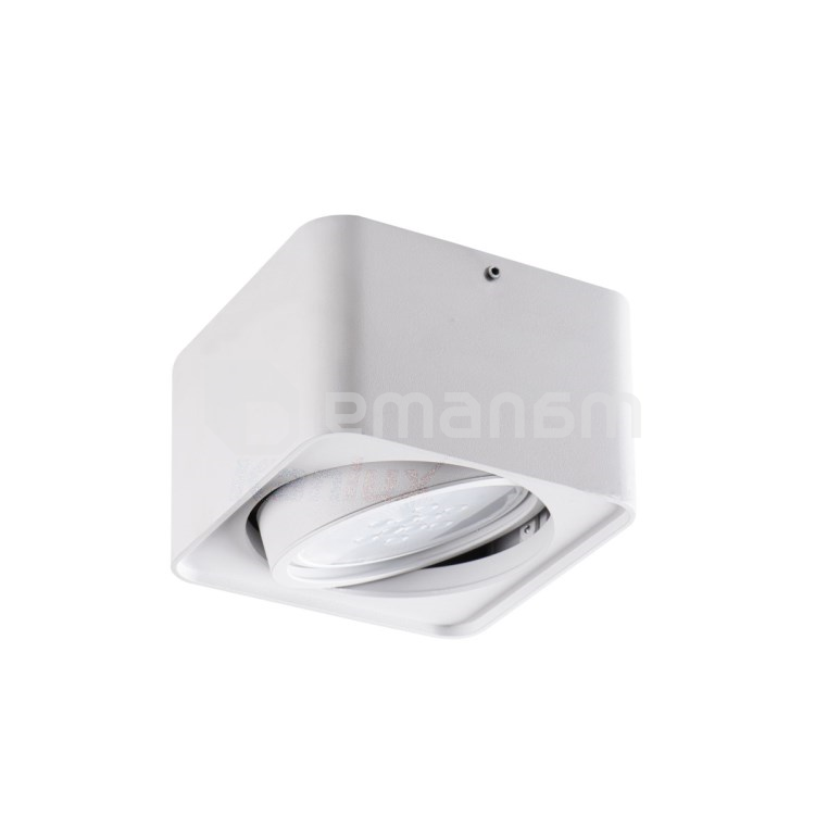 სანათი წერტილოვანი მბრუნავი Kanlux TUBEO ES 50-W GU10 1x MAX 25W