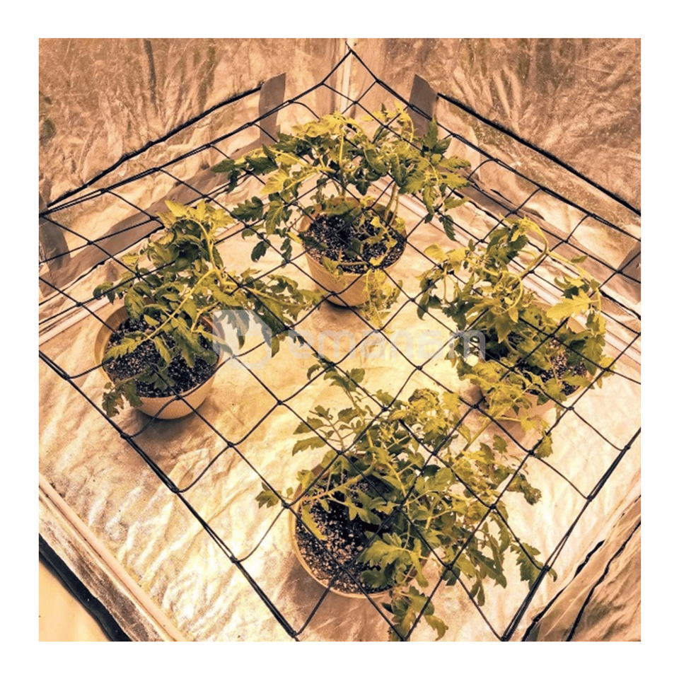 გასაბმელი ბადე GrowGrow 50x50სმ